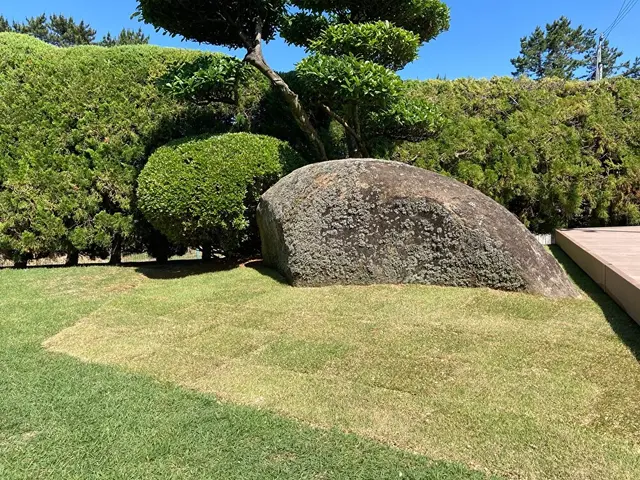春・秋は芝張りのベストシーズン！今年こそ理想のグリーンに！サービスの画像