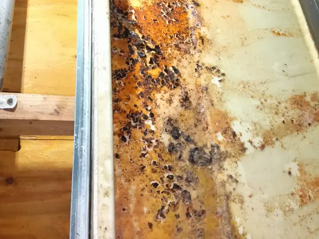 【設備点検のプロが行うクリーニング】対応地域外も相談可！駐車場代込み◎損保加入◎サービスの画像