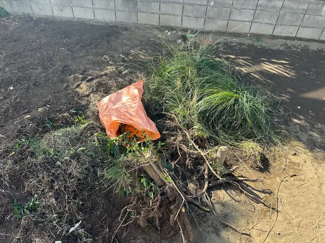 不要になってしまった庭木の伐採伐根作業、１本から喜んでご対応させていただきます！サービスの画像