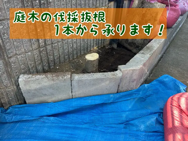 不要になってしまった庭木の伐採伐根作業、１本から喜んでご対応させていただきます！サービスの画像