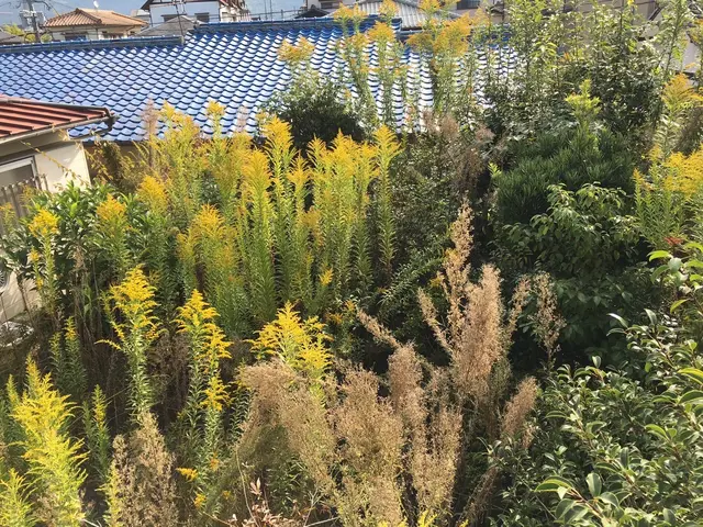 防草シートでしつこい雑草をシャットアウト！サービスの画像