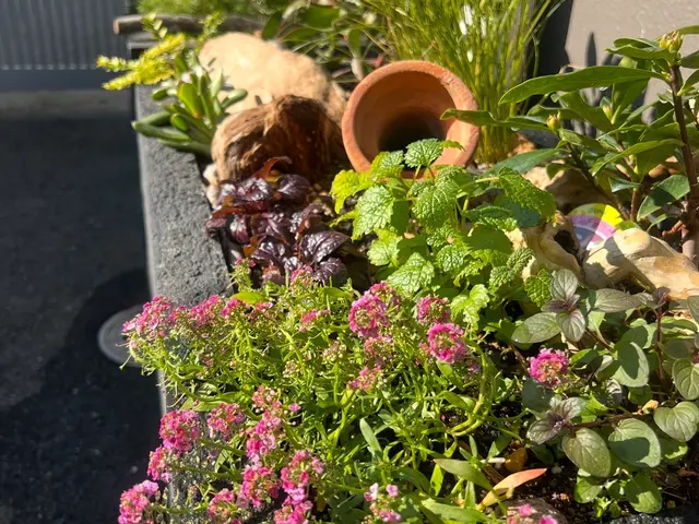 鉢植えも空気が入るような仕方でします。植物が益々元気になりますよ！サービスの画像