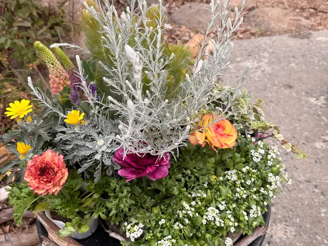 鉢植えも空気が入るような仕方でします。植物が益々元気になりますよ！サービスの画像