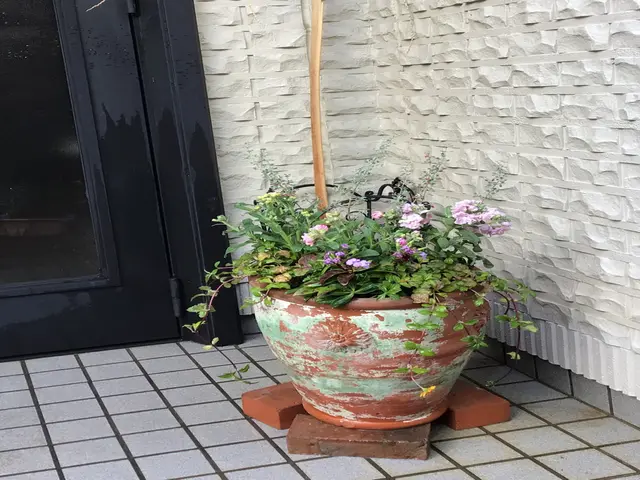 鉢植えも空気が入るような仕方でします。植物が益々元気になりますよ！サービスの画像