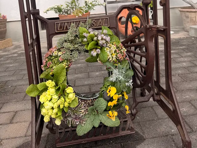 鉢植えも空気が入るような仕方でします。植物が益々元気になりますよ！サービスの画像