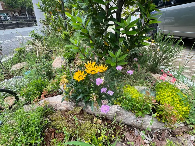 鉢植えも空気が入るような仕方でします。植物が益々元気になりますよ！サービスの画像