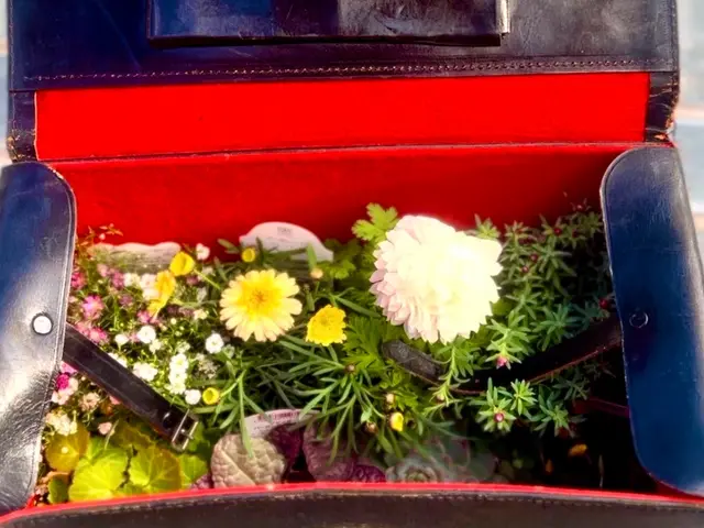 鉢植えも空気が入るような仕方でします。植物が益々元気になりますよ！サービスの画像