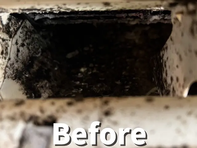 【出店セール】★即日対応★複数台割引有り★親切丁寧★毎月累計100台超えの実績！サービスの画像