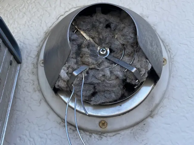 リンナイ乾太くん、電気式ダクト清掃（家庭用と業務用可）サービスの画像