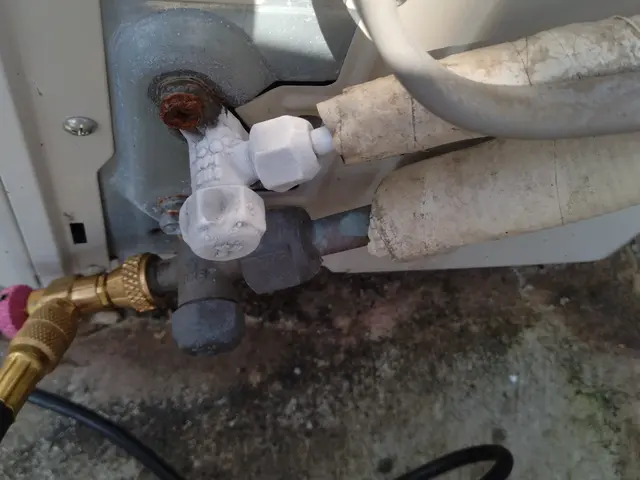 すべて自社対応◎女性スタッフの同行可！損害保険加入済みで安心です♪サービスの画像