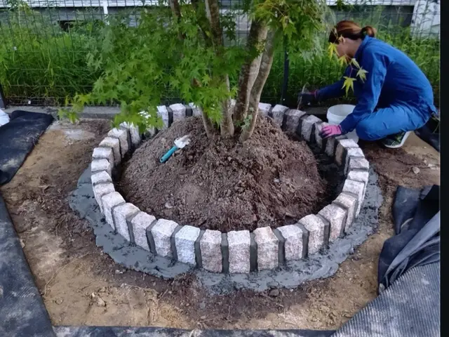 曲線も模様も自由自在！熟練した技術による本格施工､花壇も対応！サービスの画像