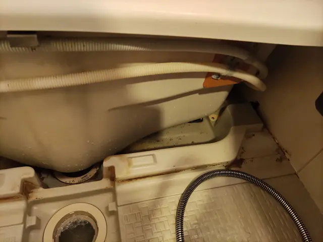 年中無休●PayPay可●女性店長がお伺いします。賃貸業者様からの洗いしていますサービスの画像