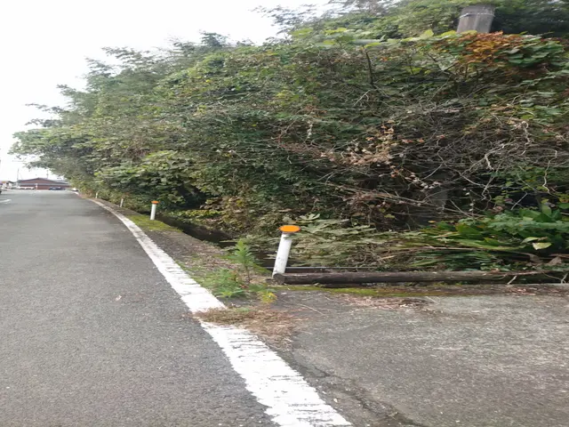 ☆伸びすぎた木、電線に絡んだ木などでもOK！　大木のご相談も無料！サービスの画像