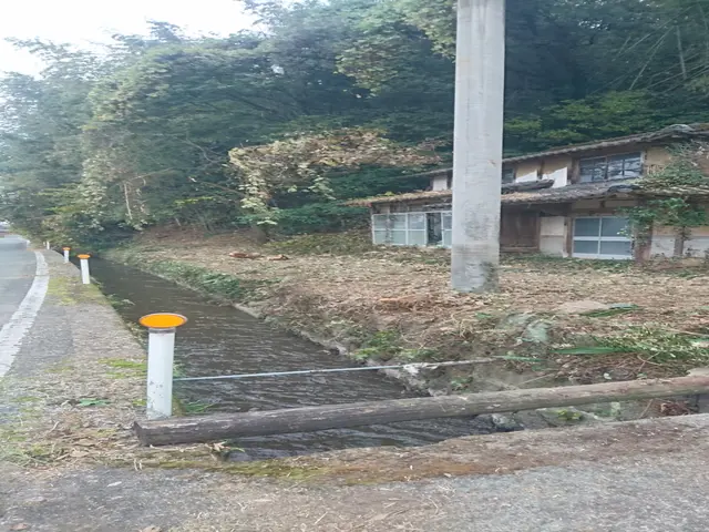 ☆伸びすぎた木、電線に絡んだ木などでもOK！　大木のご相談も無料！サービスの画像