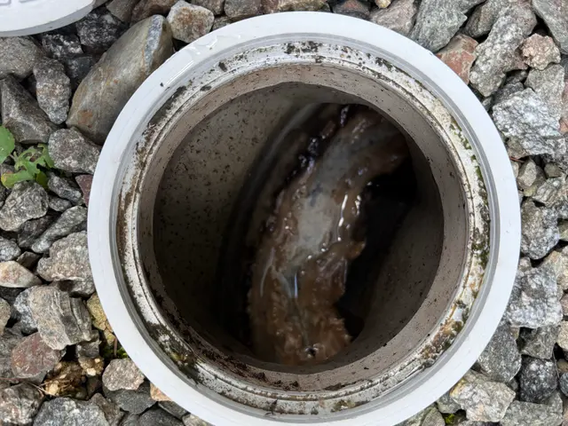 排水管洗浄サービスの画像