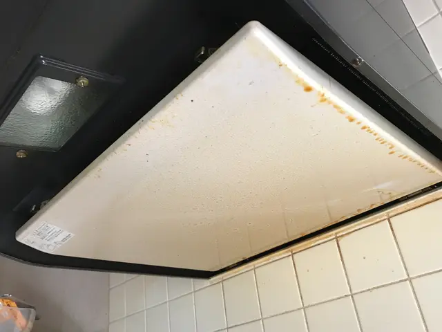 ＜女性スタッフ同行OK＞100%自社対応◎ハウスクリーニング歴24年の会社です◎サービスの画像