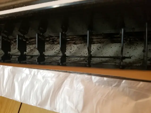 天然洗剤使用でお子様も安心！ハウスクリーニング士が丁寧洗浄！損保加入済み◎サービスの画像