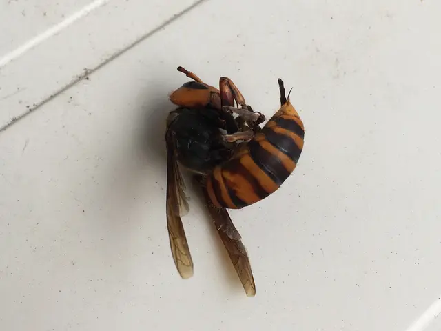 最短1時間で急行します！《クレカ使用可・保険加入有》納得いく作業をします！サービスの画像