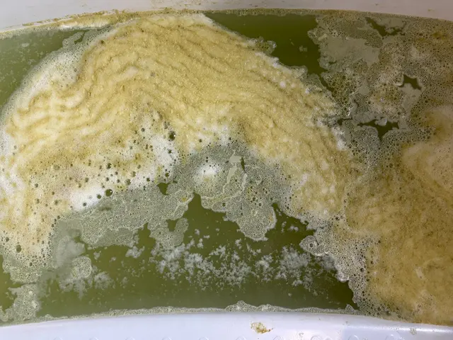 【モクモク風呂釜洗浄】専用薬剤で洗浄／お子様・ご高齢者も安心／非喫煙／損害保険サービスの画像