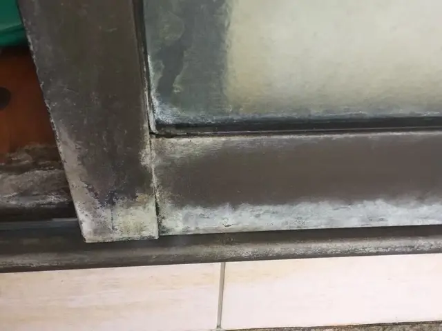 【追加料金なし】年末に向けて！面倒な浴室清掃はプロに任せてキレイにしましょう◎サービスの画像