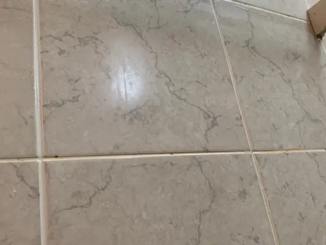 【追加料金なし】年末に向けて！面倒な浴室清掃はプロに任せてキレイにしましょう◎サービスの画像