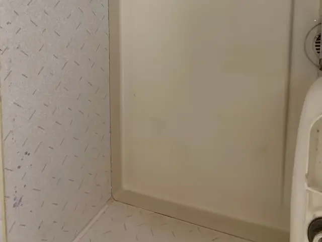 【追加料金なし】年末に向けて！面倒な浴室清掃はプロに任せてキレイにしましょう◎サービスの画像