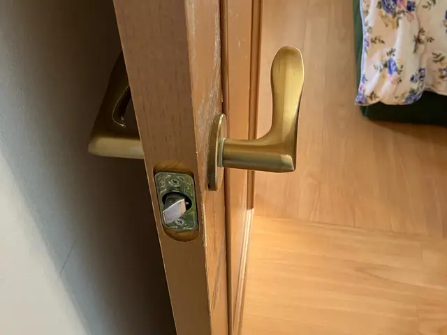 室内ドアノブ交換・修理サービスの画像