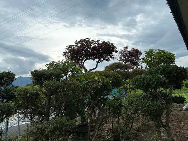 近隣への心配りを徹底！自社スタッフによる施工でジャングル状態も見違える仕上がりにサービスの画像