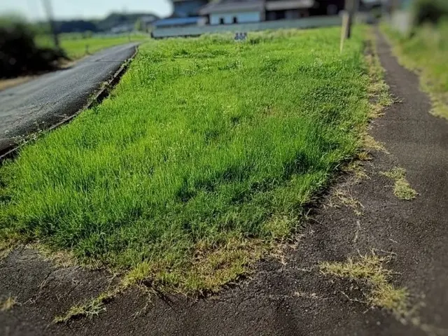 【損害保険加入済み！】無料追加対応有り◎営業時間外・対応地域外も相談可◎サービスの画像