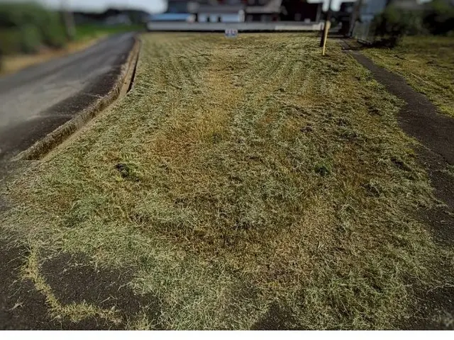 【損害保険加入済み！】無料追加対応有り◎営業時間外・対応地域外も相談可◎サービスの画像