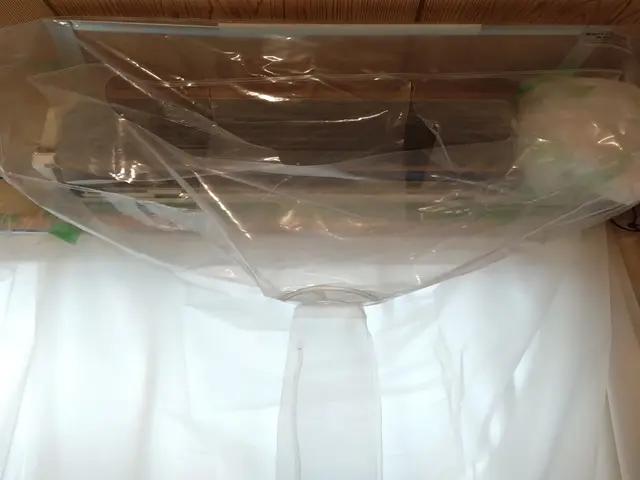 植物由来の洗浄剤でお子様やペットも安心！★日本エアコンクリーニング協会会員★サービスの画像