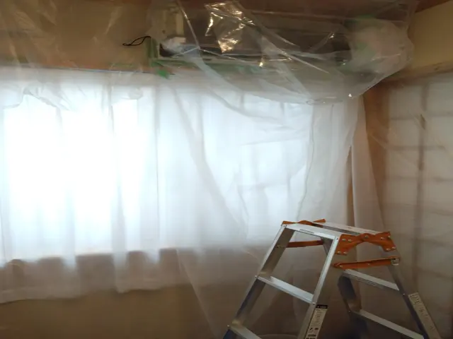 植物由来の洗浄剤でお子様やペットも安心！★日本エアコンクリーニング協会会員★サービスの画像