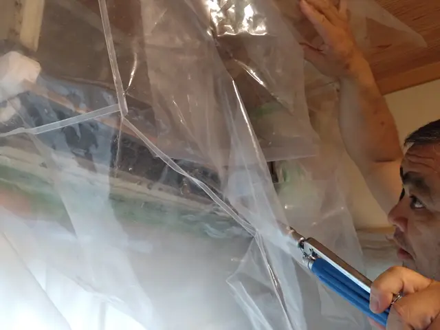 植物由来の洗浄剤でお子様やペットも安心！★日本エアコンクリーニング協会会員★サービスの画像