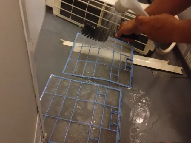 植物由来の洗浄剤でお子様やペットも安心！★日本エアコンクリーニング協会会員★サービスの画像