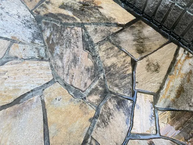 駐車場の高圧洗浄★大分県内出張費無料でお伺いいたしますサービスの画像