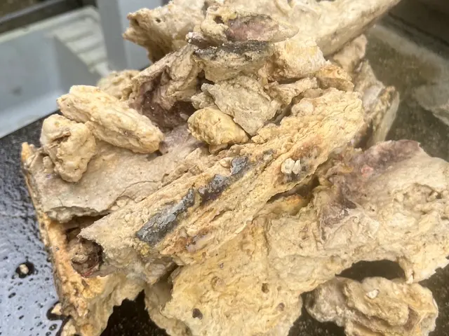 プロの技術でご満足いただけるように心を込めて作業いたしますサービスの画像