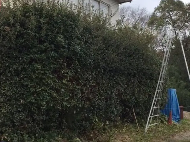 産廃事業者さんとの取引あり。損害保険加入済で万が一の際にも安心ですサービスの画像