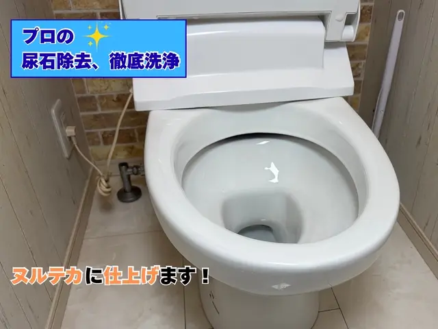 【出店記念価格】◆職人歴５年以上◆黄ばみ・黒ずみ・尿石、新築の輝きに戻します！サービスの画像