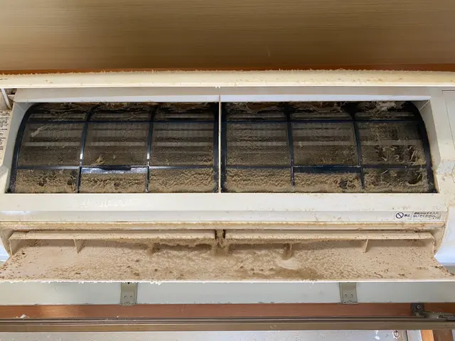 分解洗浄で黒カビ除去。キレイな風をお届けします。損害保険加入サービスの画像