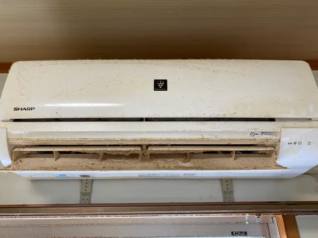 分解洗浄で黒カビ除去。キレイな風をお届けします。損害保険加入サービスの画像