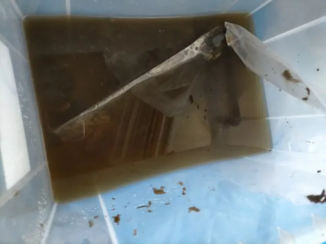 分解洗浄で黒カビ除去。キレイな風をお届けします。損害保険加入サービスの画像