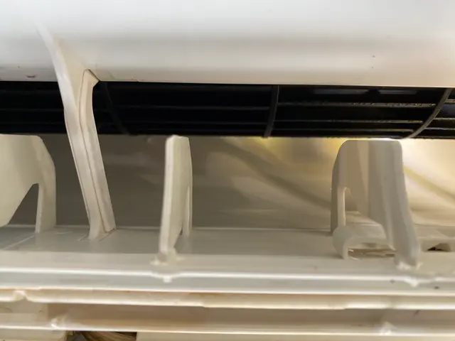 分解洗浄で黒カビ除去。キレイな風をお届けします。損害保険加入サービスの画像