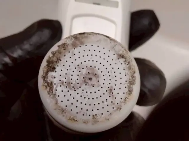 プロの技術でご満足いただけるように心を込めて作業いたしますサービスの画像