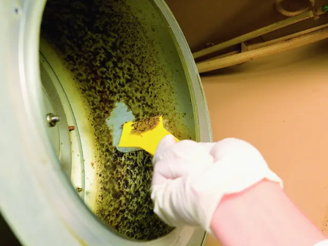 ★6/26～予約可、レンジＦ分解クリーニング、ハウスクリーニング３０年の実績、！サービスの画像