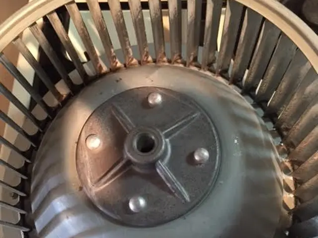 ★6/26～予約可、レンジＦ分解クリーニング、ハウスクリーニング３０年の実績、！サービスの画像