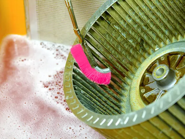 ★6/26～予約可、レンジＦ分解クリーニング、ハウスクリーニング３０年の実績、！サービスの画像