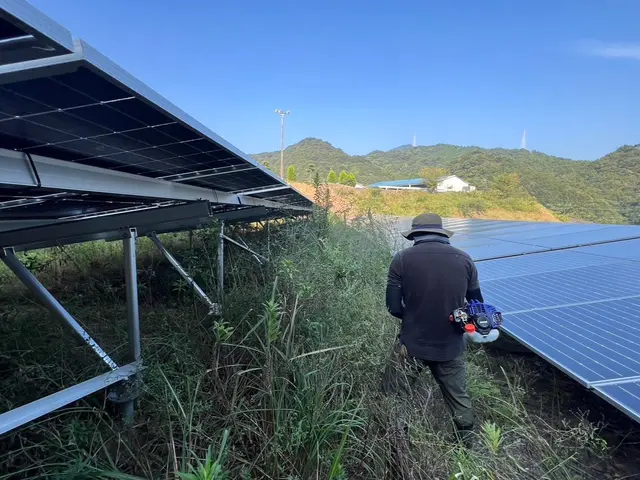 除草、伐採作業サービスの画像