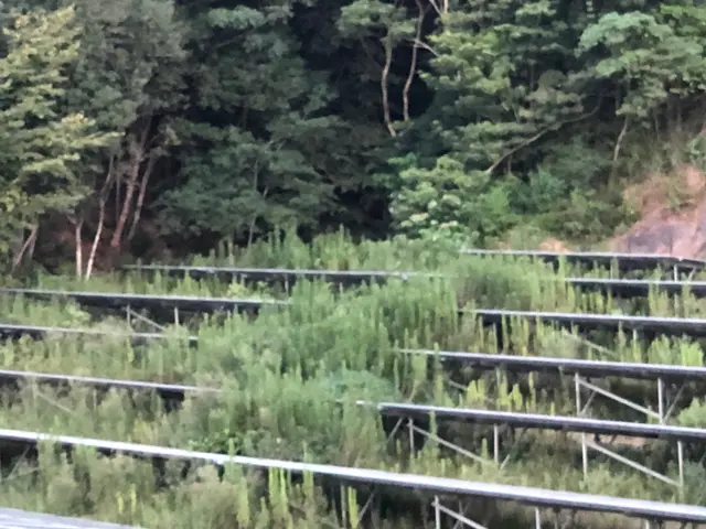 除草、伐採作業サービスの画像