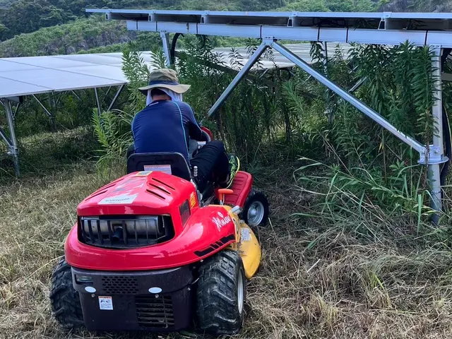 除草、伐採作業サービスの画像