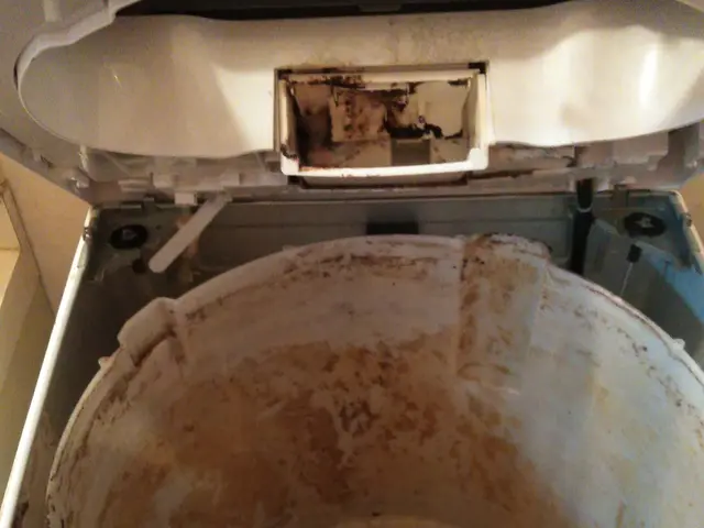 分解クリーニングで内部も清潔に　【引越やご出産前】【日立製対応】【ドラム式不可】サービスの画像